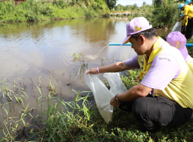 ทำกิจกรรมจิตอาสาพัฒนา ถวายพระราชกุศล ... พารามิเตอร์รูปภาพ 17