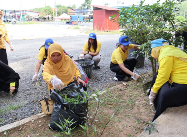 โครงการอาสาสมัครสหกรณ์ กิจกรรมพัฒนาอาสาสมัครสหกรณ์ ... พารามิเตอร์รูปภาพ 14