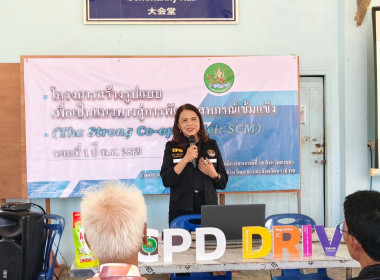 ขับเคลื่อนโครงการ SCM ... พารามิเตอร์รูปภาพ 1