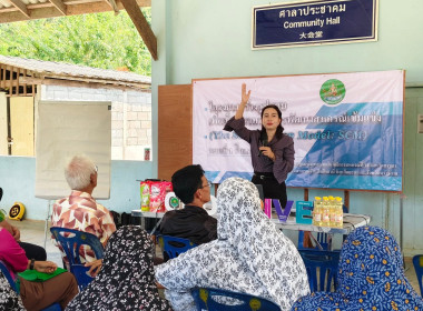 ขับเคลื่อนโครงการ SCM ... พารามิเตอร์รูปภาพ 8