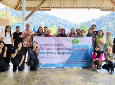 ขับเคลื่อนโครงการ SCM ... พารามิเตอร์รูปภาพ 17