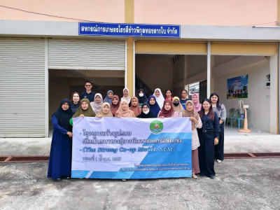 ขับเคลื่อนโครงการ SCM ... พารามิเตอร์รูปภาพ 1