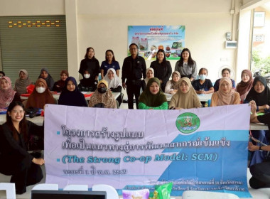 ขับเคลื่อนโครงการ SCM ... พารามิเตอร์รูปภาพ 19