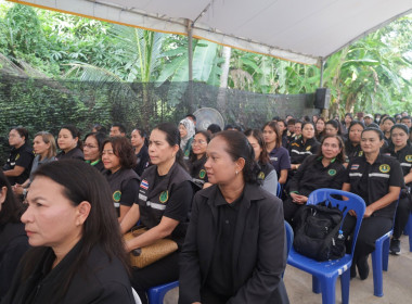 กิจกรรม ... พารามิเตอร์รูปภาพ 11