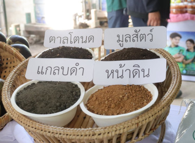 กิจกรรม ... พารามิเตอร์รูปภาพ 47